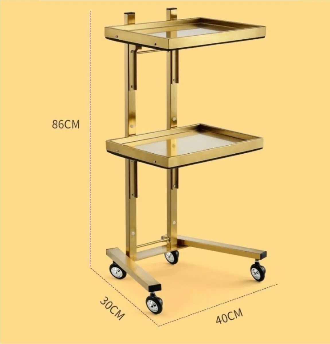 Chariot de coiffeur à roulettes en métal avec plateau pour esthéticienne pour studios et magasins, chariot durable (argent)