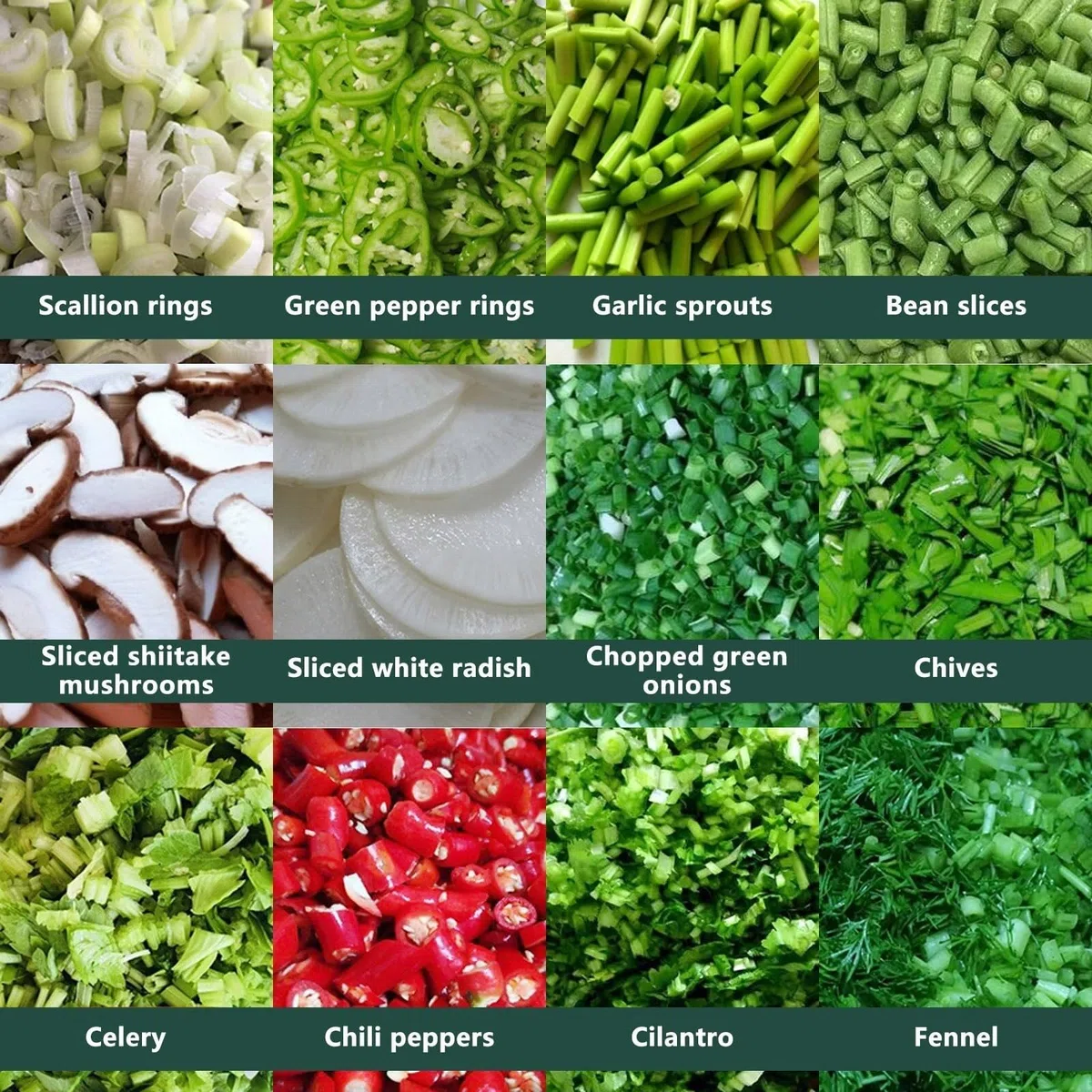 Coupe-légumes électrique, Hachoir et trancheur commercial, Débit max. de 200 kg/h avec tapis roulant — Idéal pour oignons verts, poivrons, céleri, poireaux, choux et plus encore